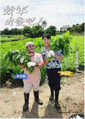 综艺精选推荐